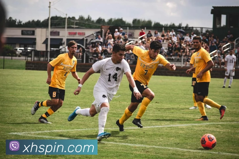 新航娱乐官网平台生态图