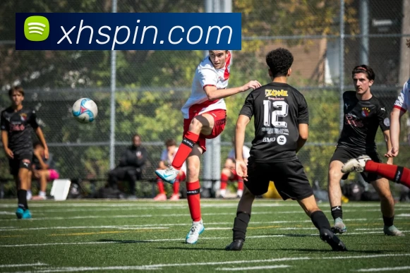 新航娱乐官网APP 封面图